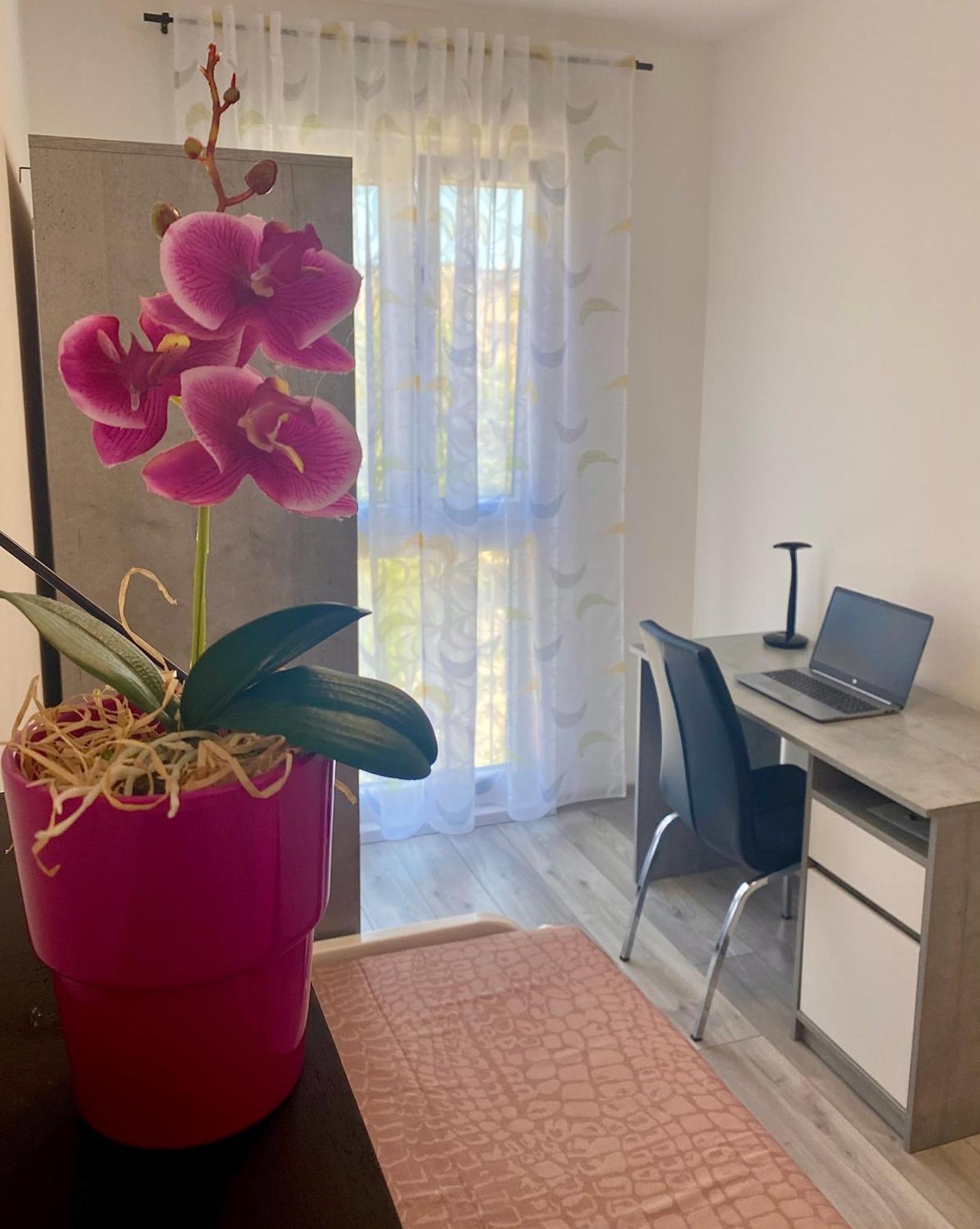 Ema Apartment Pula Exteriér fotografie